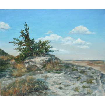 Mountain bush. Series 'Pyatigorsk sketches'.